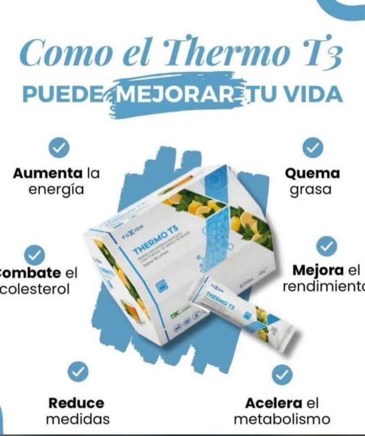 Termo T3