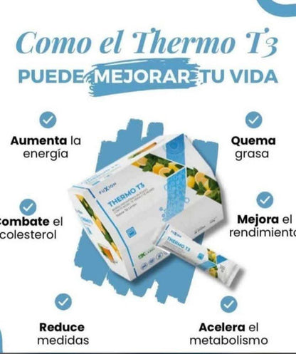 Termo T3