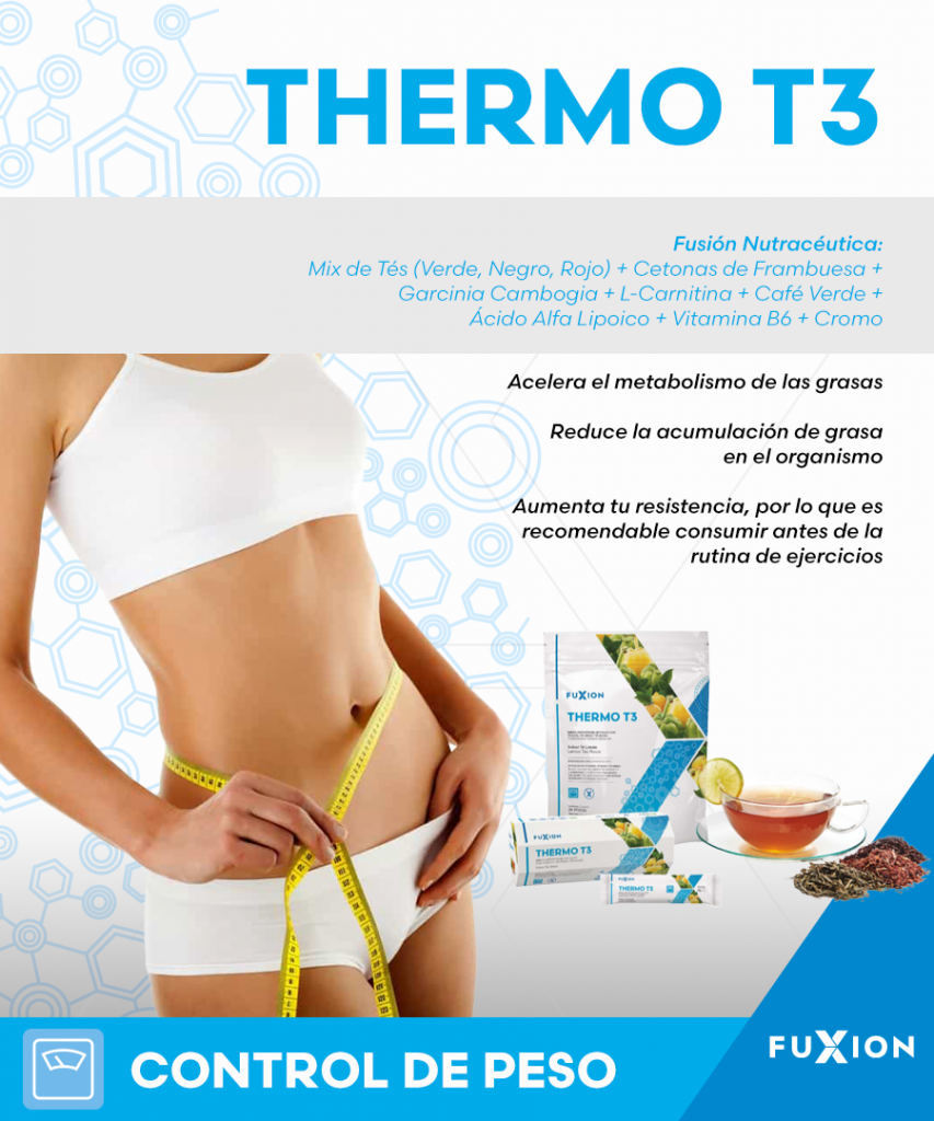 Termo T3