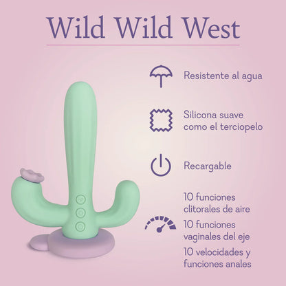 WILD WILD WEST